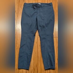 LOFT Cotton Petite Blue Pants